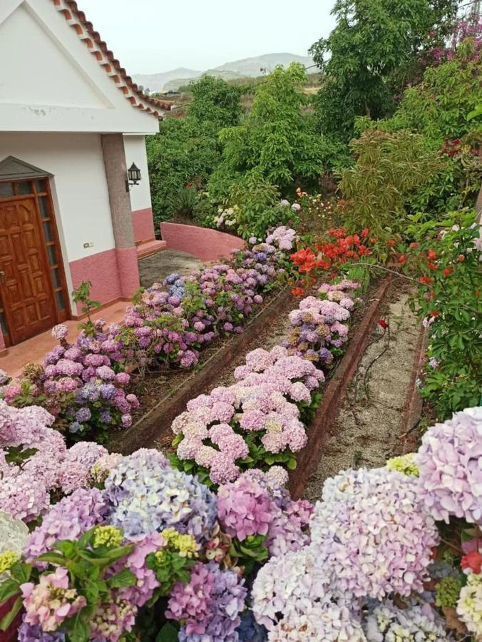 Mar De Flores Vega de San Mateo Exteriér fotografie