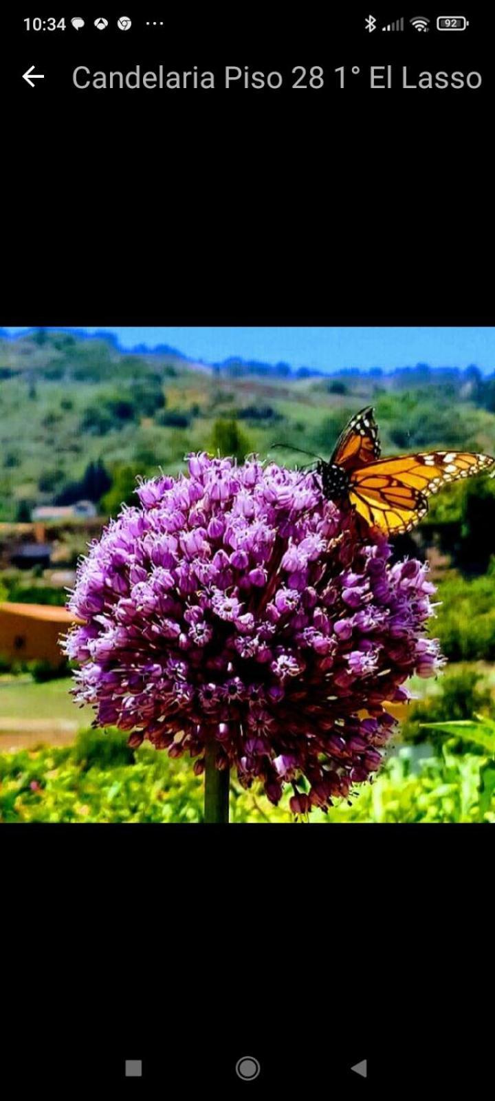 Mar De Flores Vega de San Mateo Pokoj fotografie